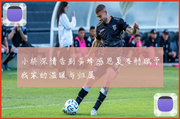 小桥深情告别黄蜂感恩夏洛特赋予我家的温暖与归属